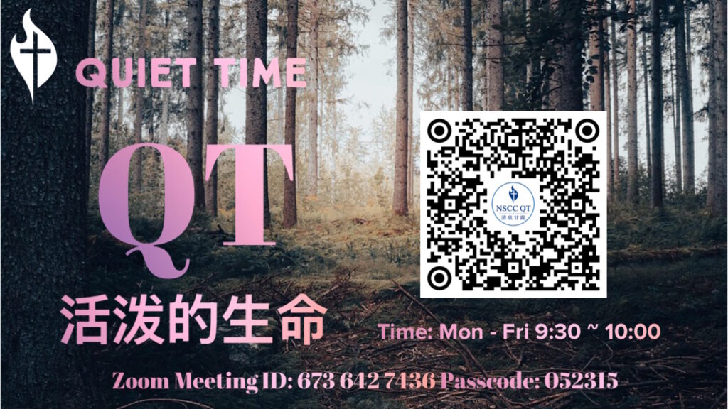 QT 清泉甘露